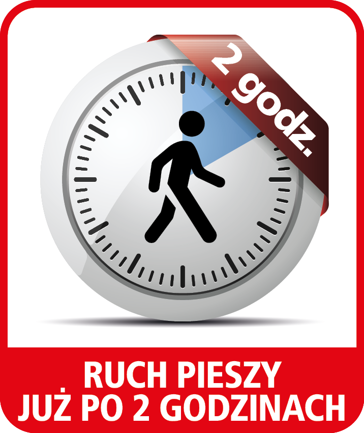 RUCH PIESZY PO 2H